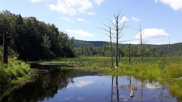 Parc Jean-Paul Forand